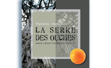 La Serre des Ouches